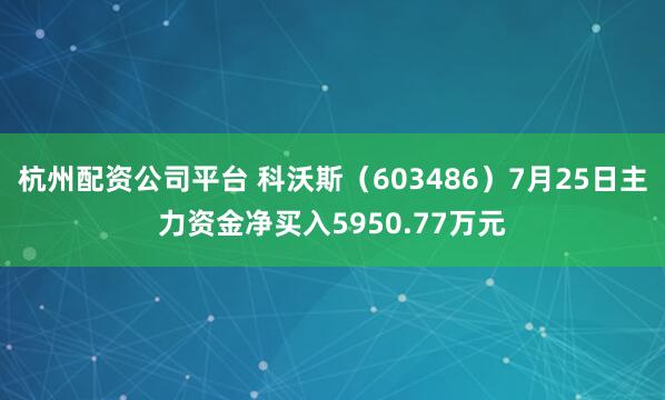 杭州配资公司平台 科沃斯（603486）7月25日主力资金净买入5950.77万元