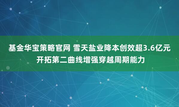 基金华宝策略官网 雪天盐业降本创效超3.6亿元 开拓第二曲线增强穿越周期能力