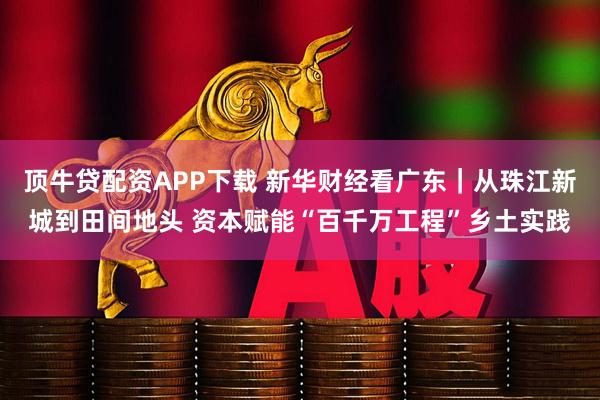 顶牛贷配资APP下载 新华财经看广东｜从珠江新城到田间地头 资本赋能“百千万工程”乡土实践