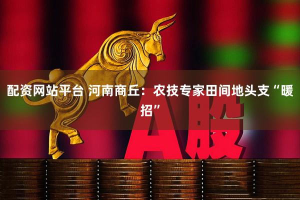 配资网站平台 河南商丘：农技专家田间地头支“暖招”