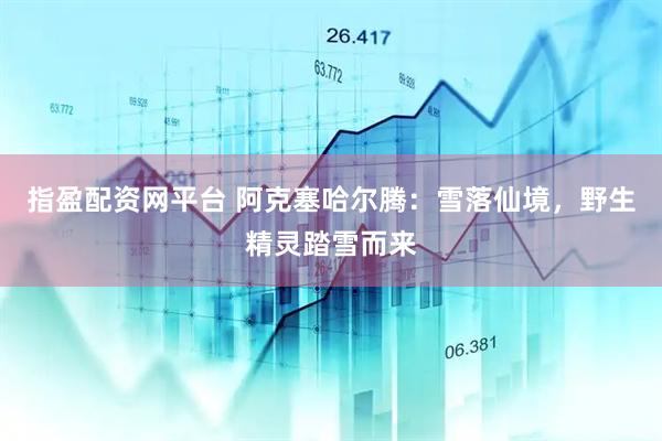 指盈配资网平台 阿克塞哈尔腾：雪落仙境，野生精灵踏雪而来
