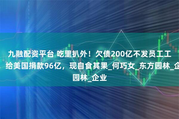 九融配资平台 吃里扒外！欠债200亿不发员工工资，给美国捐款96亿，现自食其果_何巧女_东方园林_企业