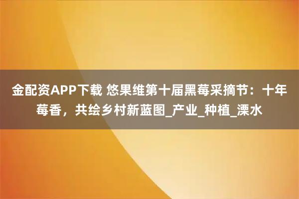 金配资APP下载 悠果维第十届黑莓采摘节：十年莓香，共绘乡村新蓝图_产业_种植_溧水